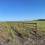 Fence