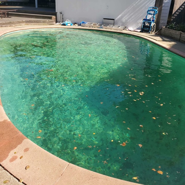 Pool service