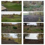 Clearing and Grading