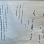 Business License