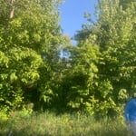 Wood Rd