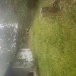 horse shoe