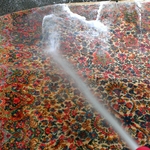 Oriental Rug Cleaning