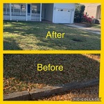 Raking Leafs