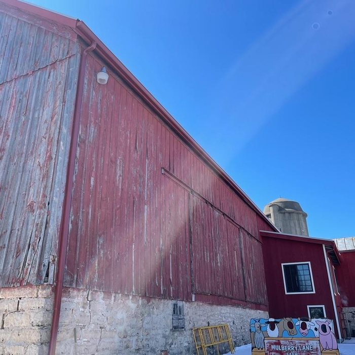 Mulberry Lane Farm