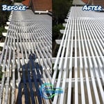 Patio Cover Cleaning
