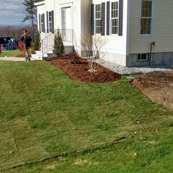 Sod Installlation