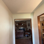 Ceiling Repaint