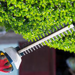 Precise Trimming and Bush Removal