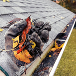 Quality Gutter Cleaning