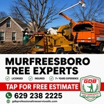Tree Removal