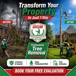 Tree Removal