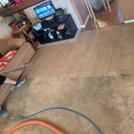 First pass on the pet area