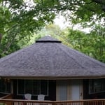 Unique Roof Replacement