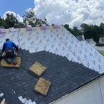 Shingles roof