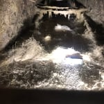 40 years of build up