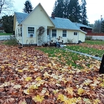 Rental Home Fall Clean Up and Lawn Care