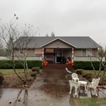 Lawn Care and Clean Up
