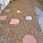 Fall Clean Ups