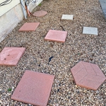 After Pine Needles