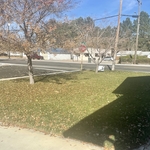Fall Clean Ups