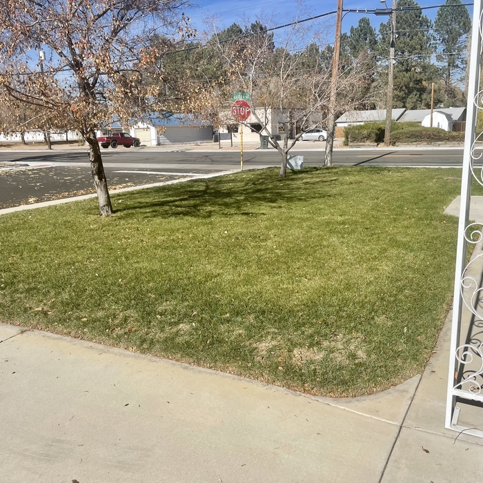 After Front Yard