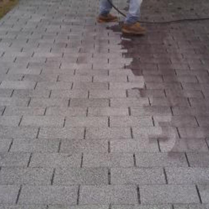 soft wash mildew removal for roofs and sidding