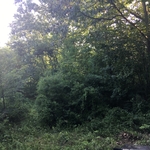 Area