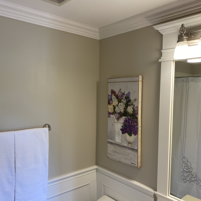 Guest Bathroom Remodel