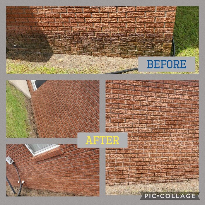 Before and afters