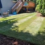 Full Service Clean up