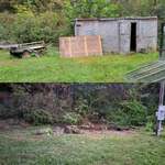 shed removal