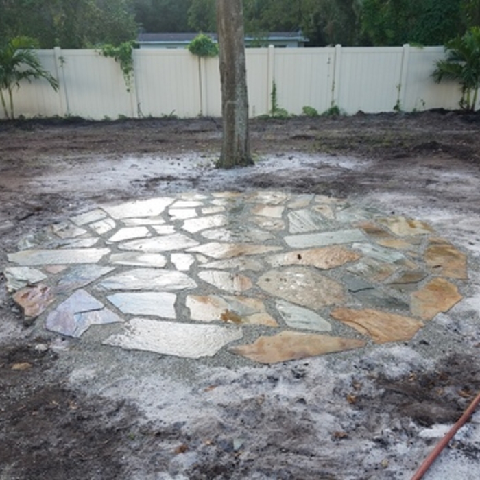 Before the plants