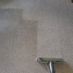 Carpet cleaning