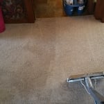 Carpet cleaning