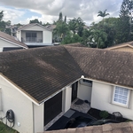 Shingle Roof