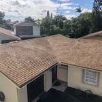 Shingle Roof