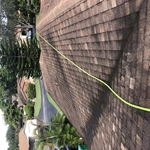 Shingle Roofs