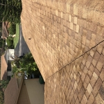 Shingle Roof