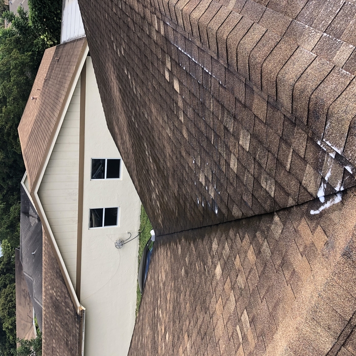 Shingle Roofs