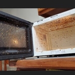 microwave before