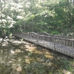 my Bridge