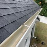 Gutter cleaning