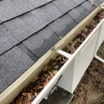 Gutter cleaning