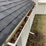 Gutter cleaning