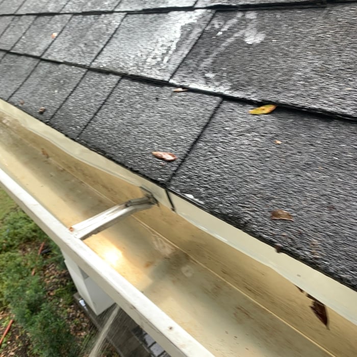 Gutter cleaning