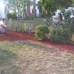 Tree and stump removal