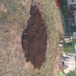 Tree and stump removal