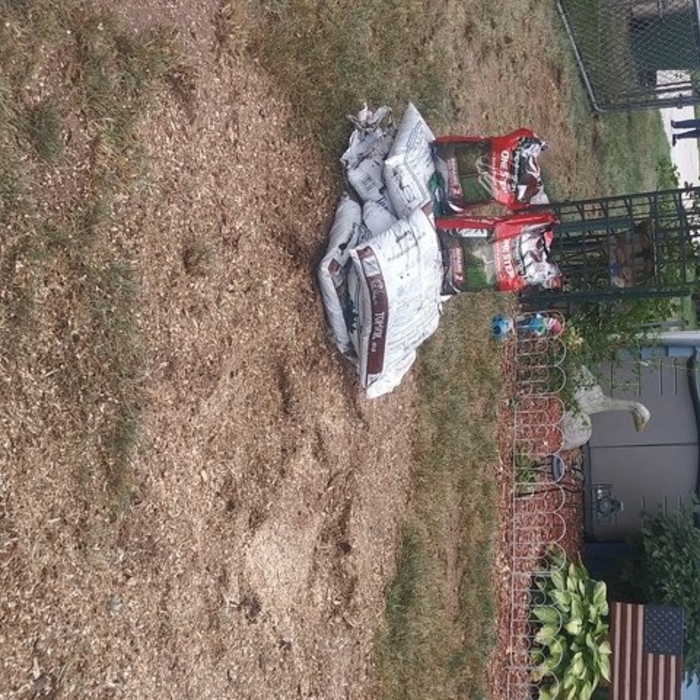 Tree and stump removal