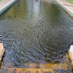Pool Pictures